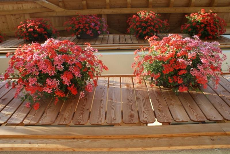 Appartements Josef Lercher San Candido Exterior foto